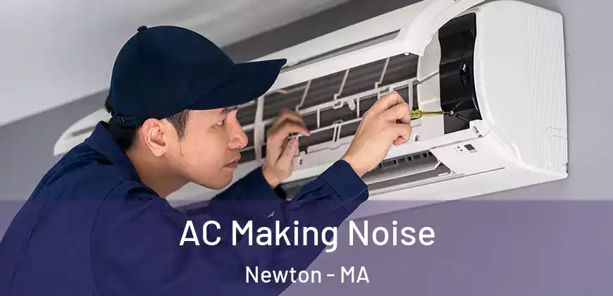  AC Making Noise Newton - MA